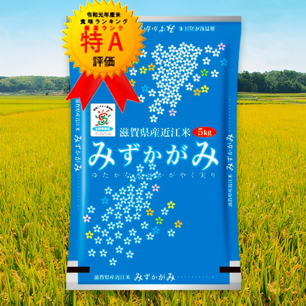 近江米みずかがみ