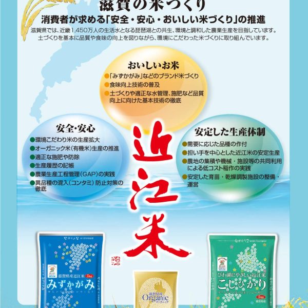 近江米コシヒカリ